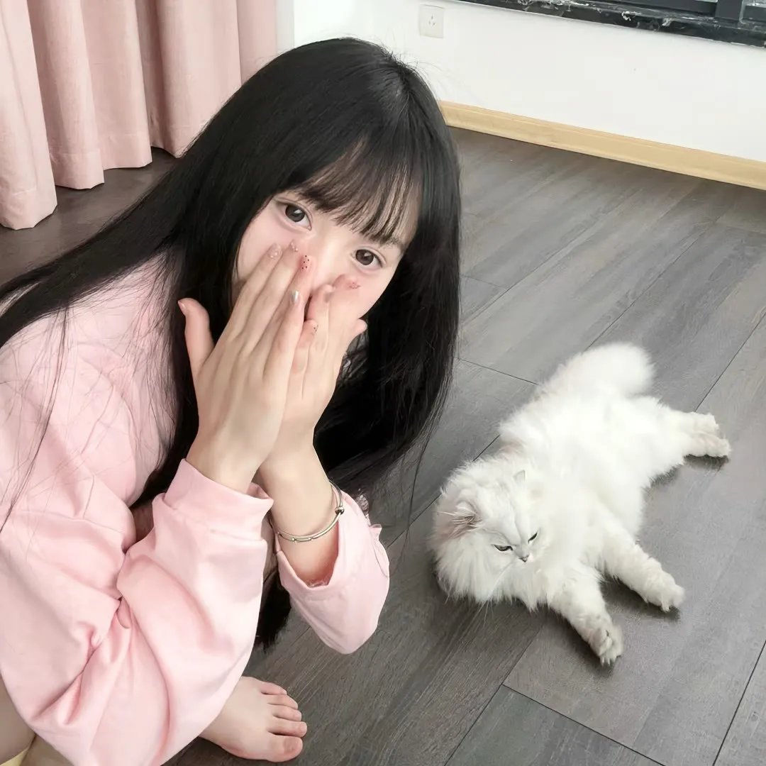 豪勇七蛟龙续集