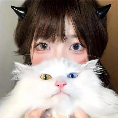 消失的她与我那些事儿孤岛爱之狂野迷踪